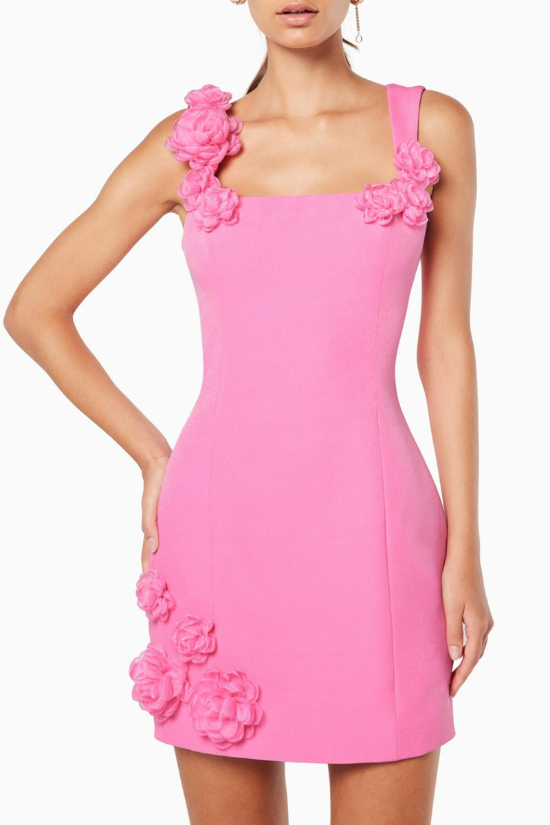 Dilanne Appliqué Mini Dress - Pink