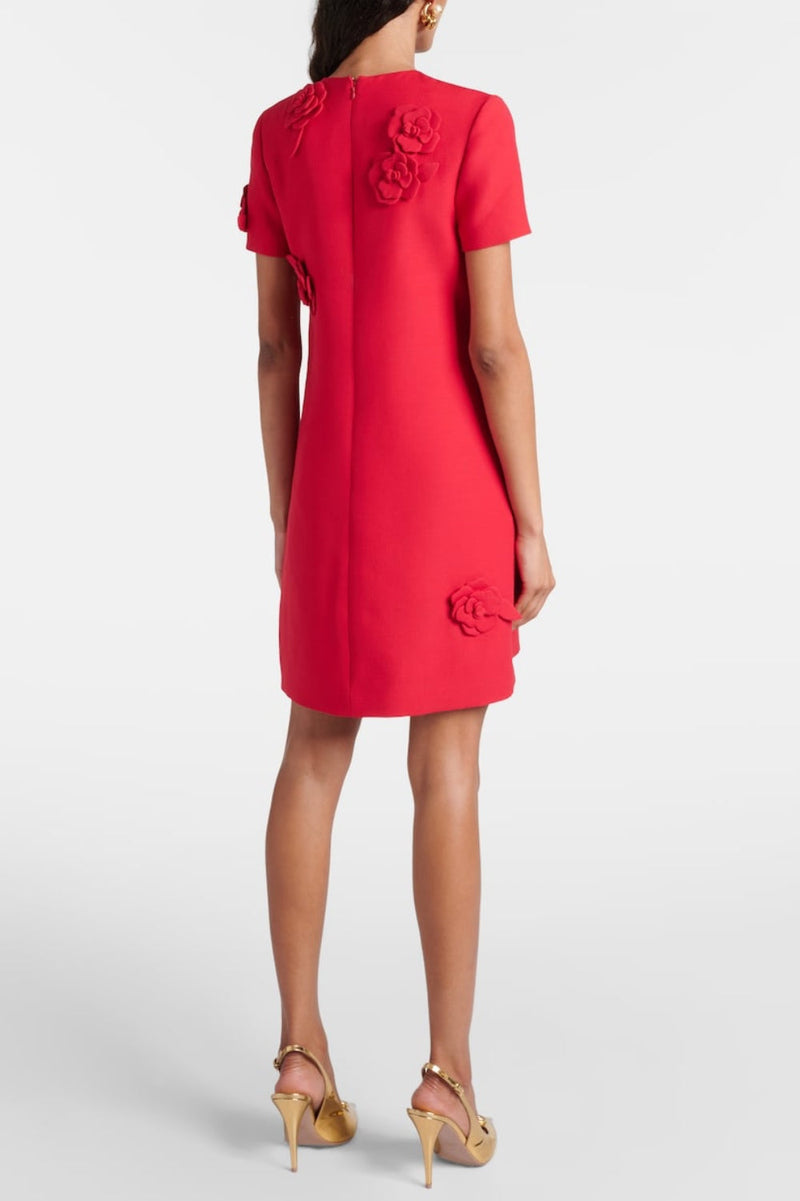 Eleanor Appliqué Mini Dress