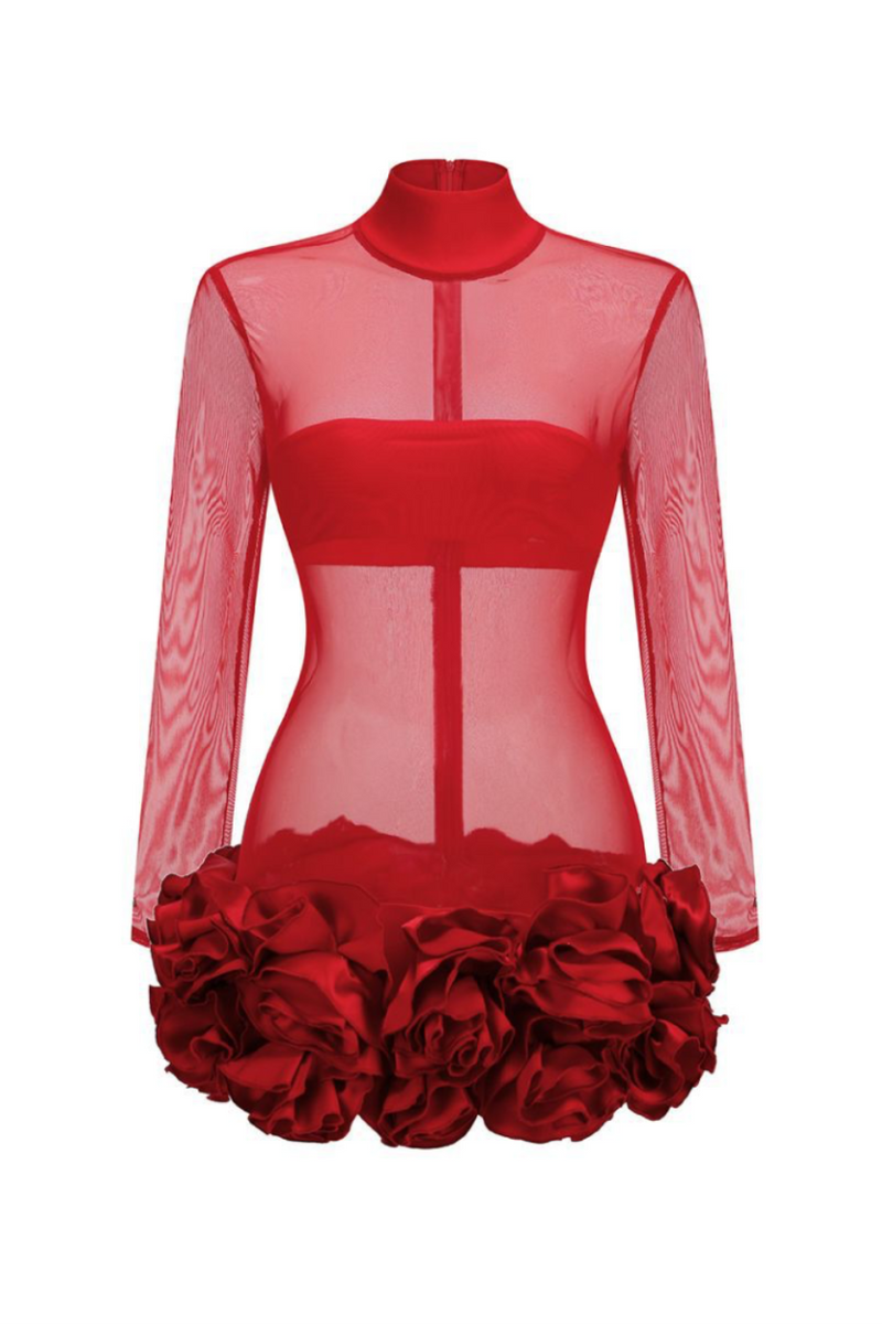 Fionna Mesh Long Sleeve Mini Dress - Red