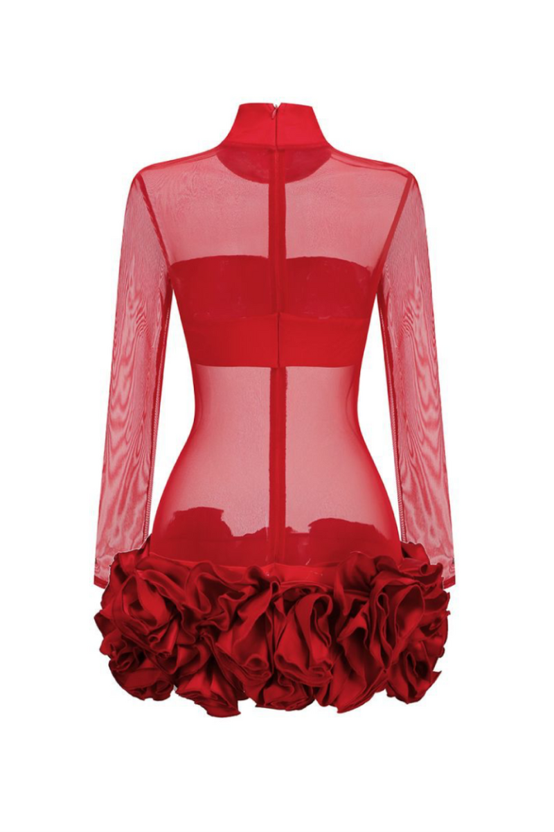 Fionna Mesh Long Sleeve Mini Dress - Red