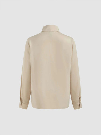 Collar Metal Hook Long Sleeve Blouse With Tie