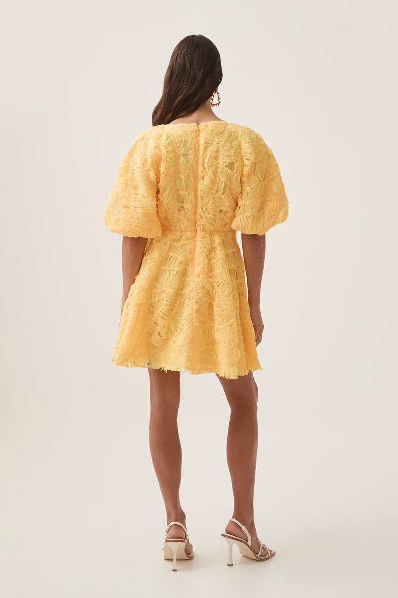 Cut-out V-neck Puff Sleeve Mini Dress