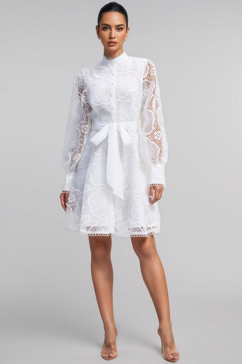 Joanna Lace Lantern Sleeve Mini Dress