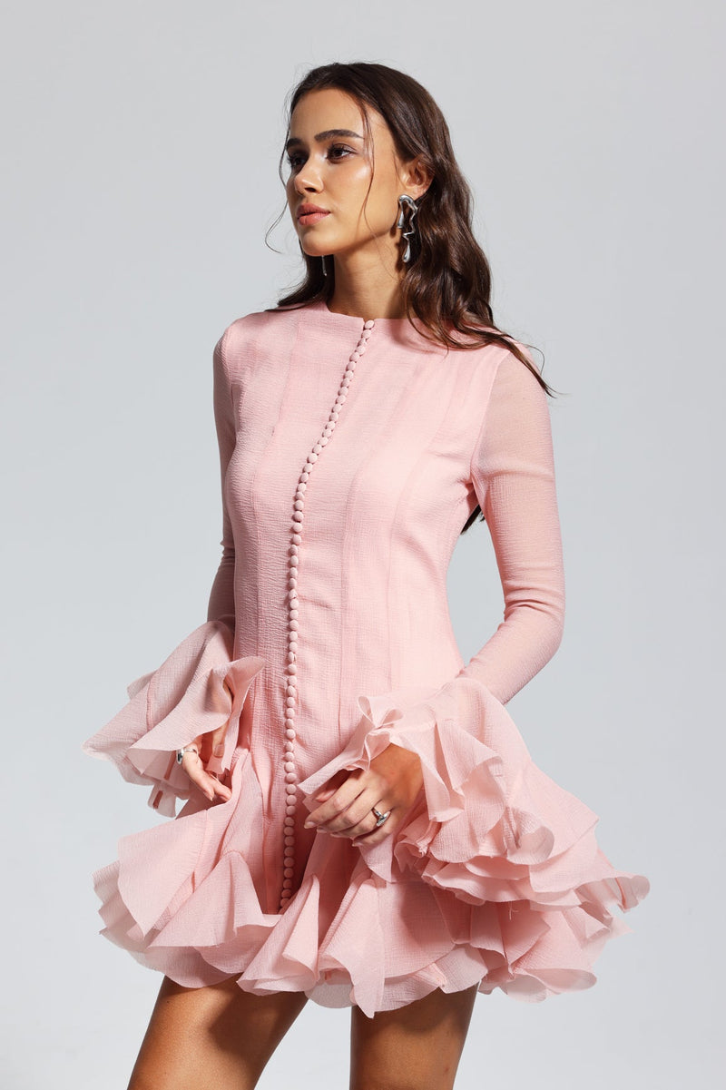 Mccarthy Mesh Ruffle Mini Dress in Pink
