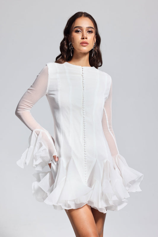 Mccarthy Mesh Ruffle Mini Dress in White