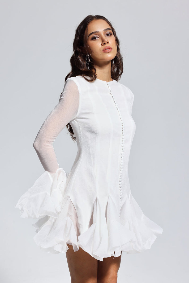 Mccarthy Mesh Ruffle Mini Dress in White