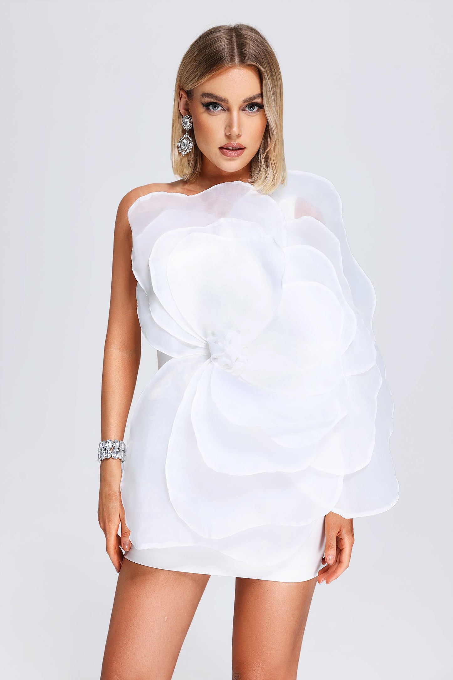 Kylie Mesh Mini Tube Dress
