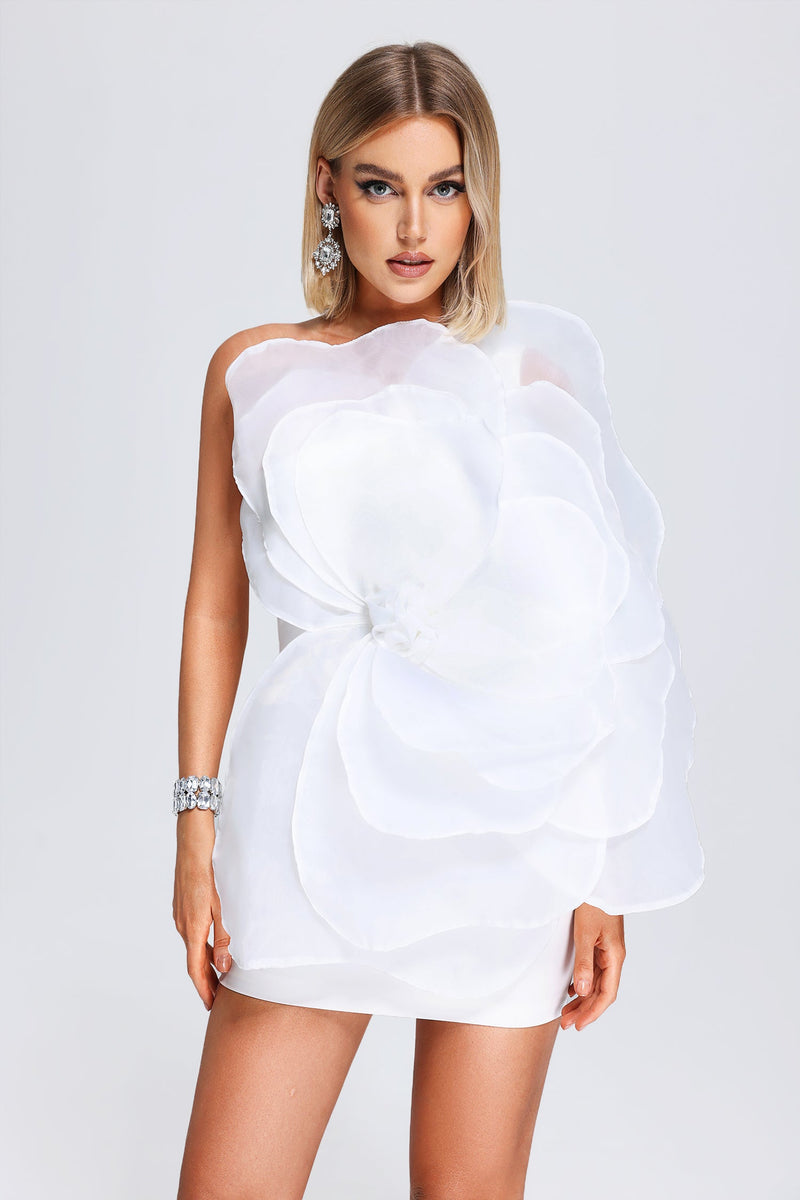 Kylie Mesh Mini Tube Dress