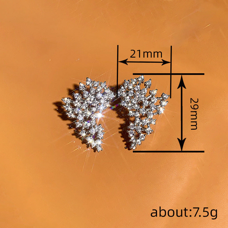 Beautiful Earring with Unique Style