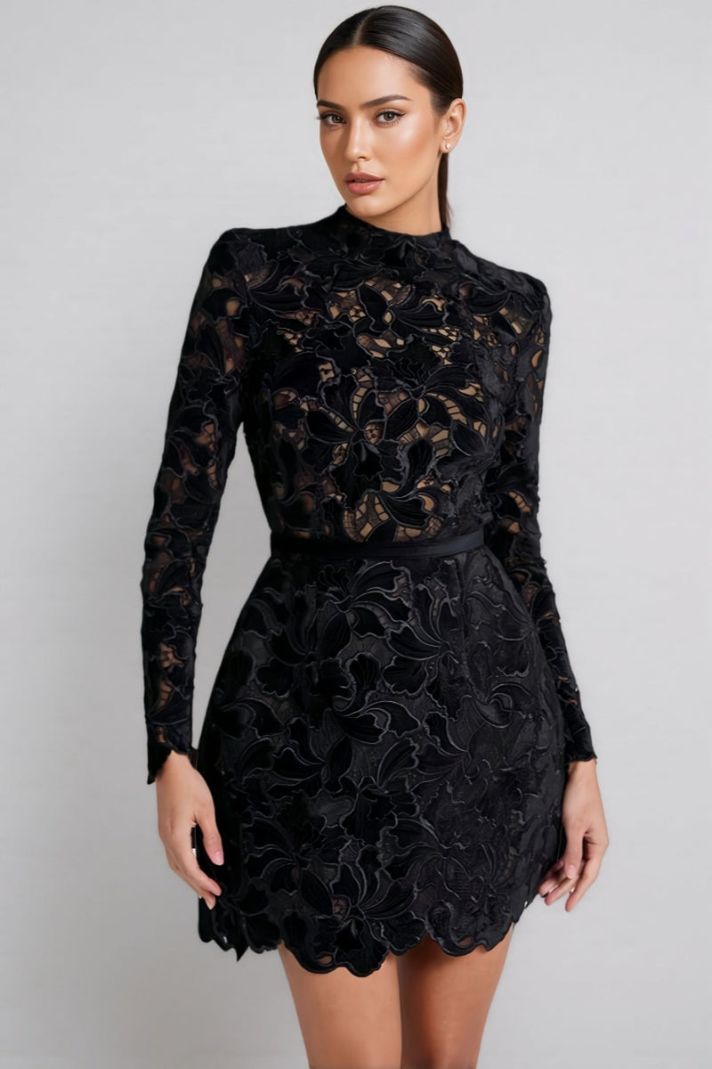 Vali Long Sleeve Lace Mini Dress-black