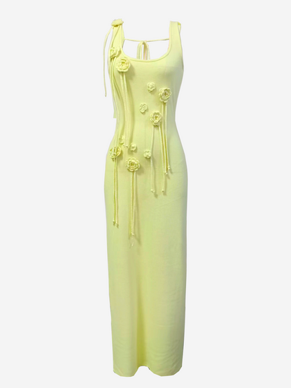 Paula Applique Knit Maxi Dress