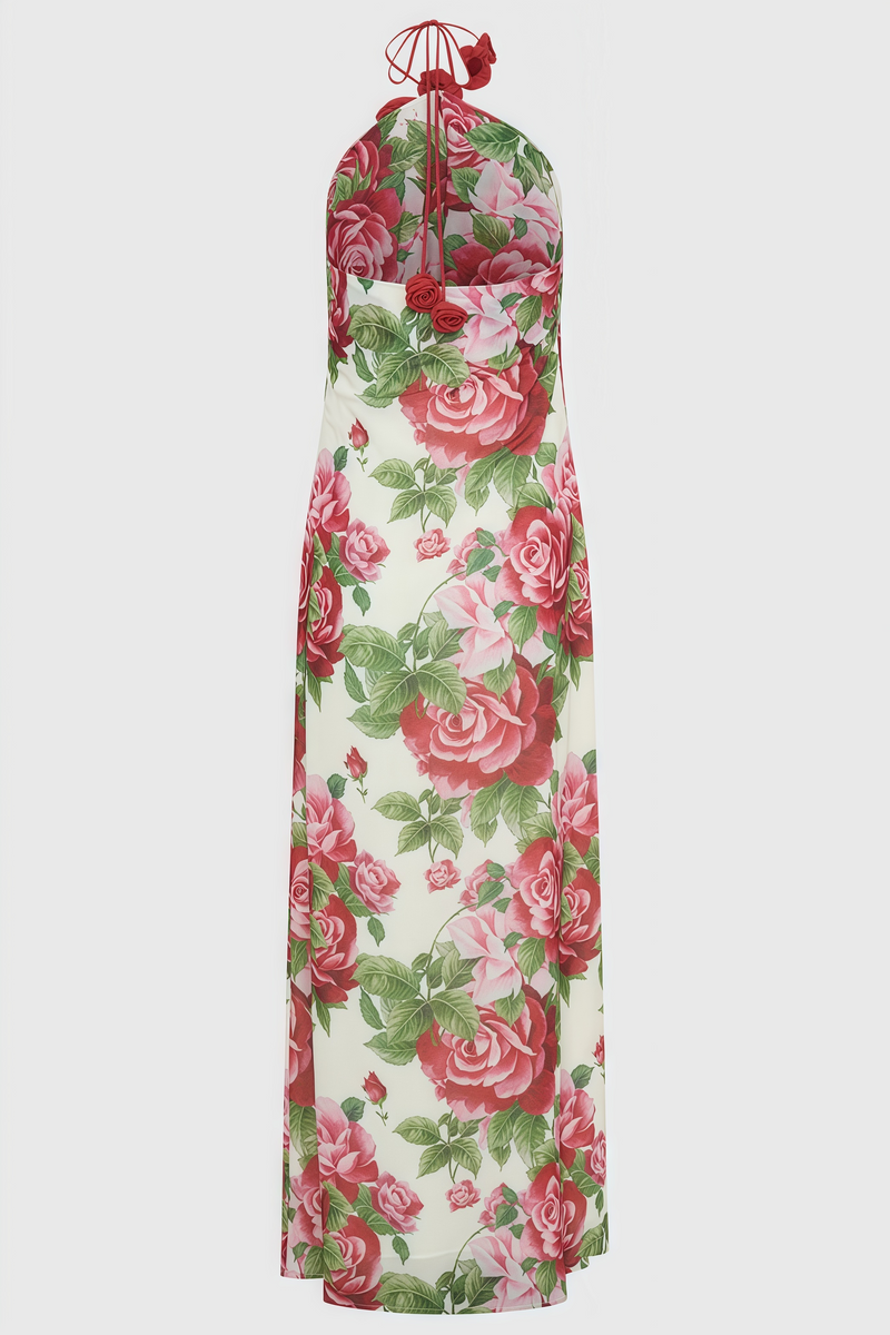 Ysraela Cowl Neck 3d Maxi Dress