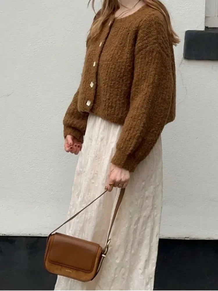 Brown Single Breasted Knitwear O Neck Long Sleeves Loose Sweater New Lady Office Cardigan