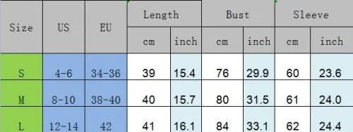 Lace Long Sleeve Asymmetrical Hem Crop Mesh See Through Black Slim T-shirts