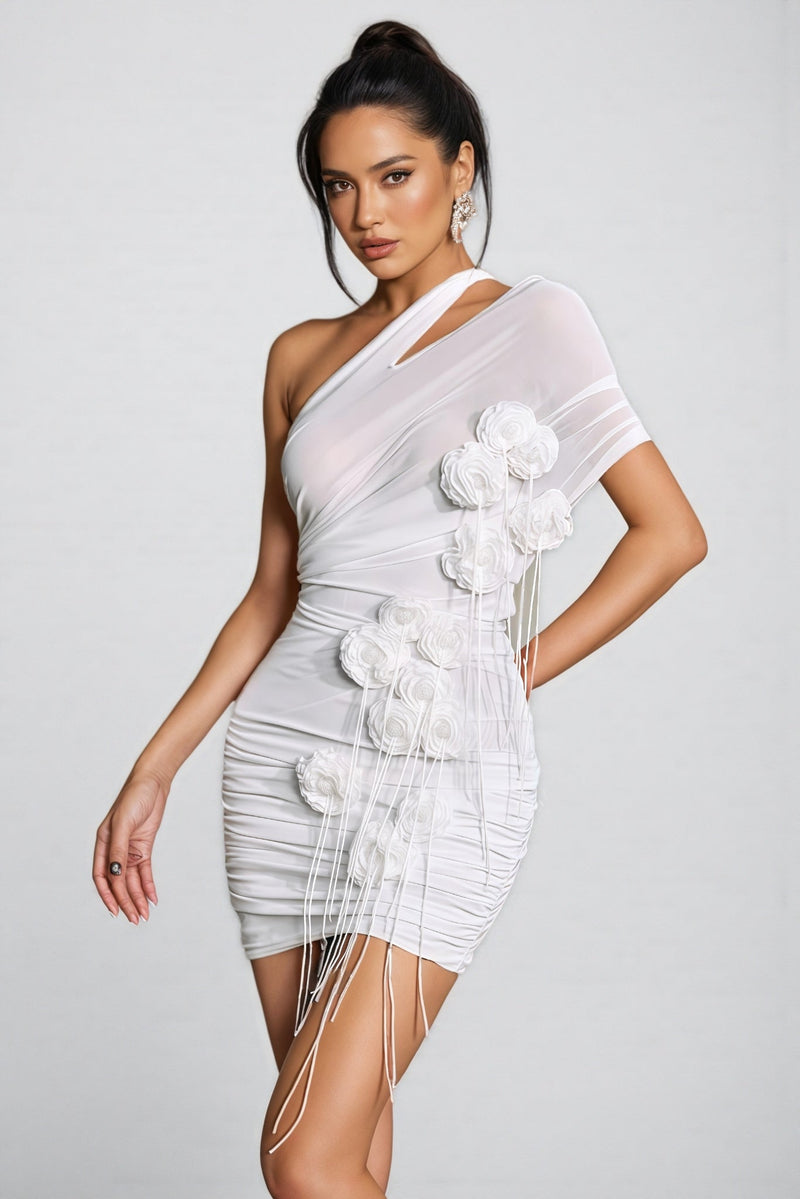 Parilk Mesh 3d Flower Mini Dress
