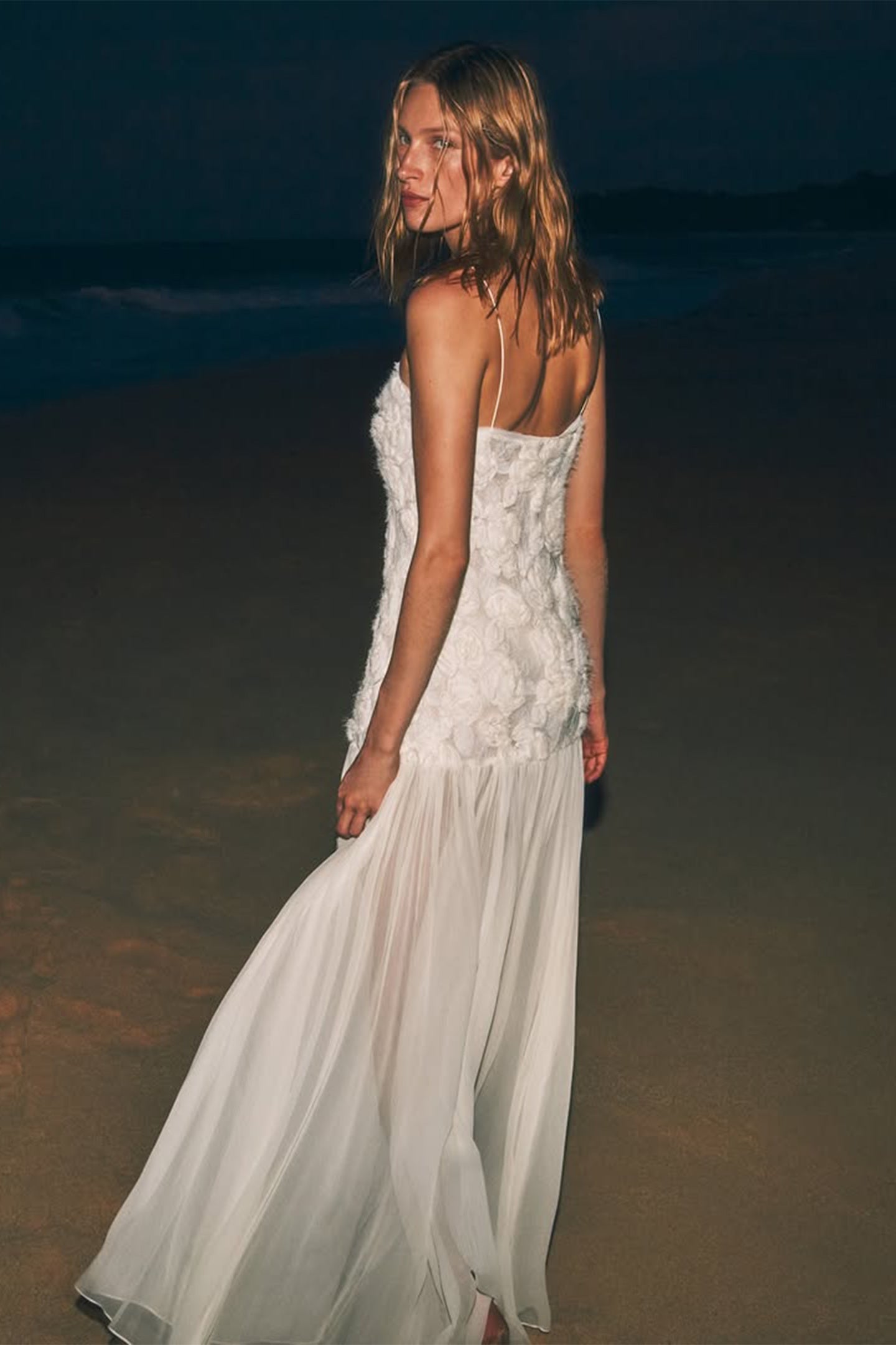 Andrea Applique Pleated Chiffon Maxi Dress