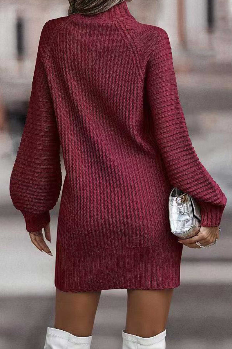 Turtleneck Sweater Dress