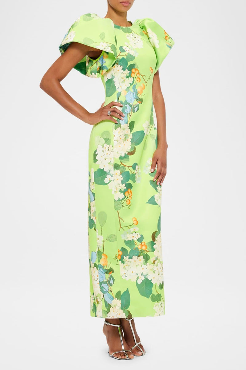 Puff Sleeve Maxi Dress