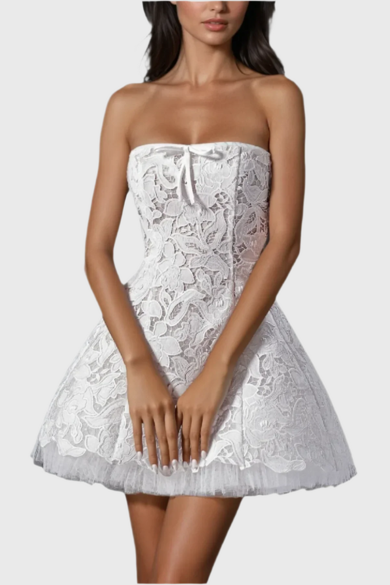 Wera Lace Strapless Mini Dress