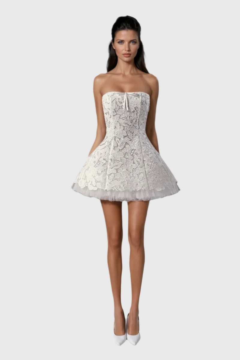 Wera Lace Strapless Mini Dress