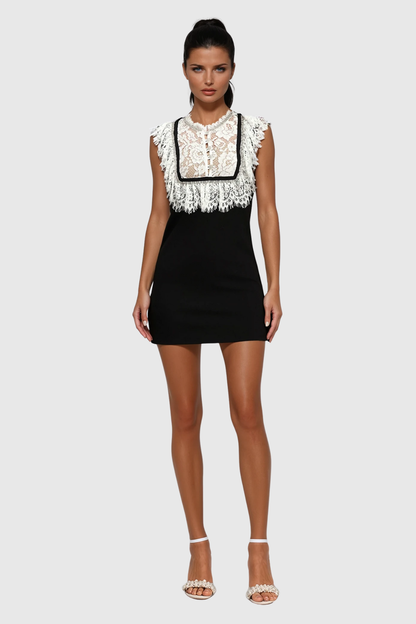 Zarah Lace Sleeveless Mini Dress