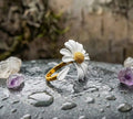 Vintage Daisy Flower Elegant Adjustable Ring