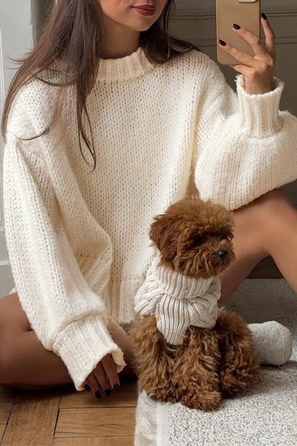 Minimalist Color Loose Crewneck Knit Sweater