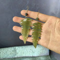 Botanical Fern Leaf Earrings