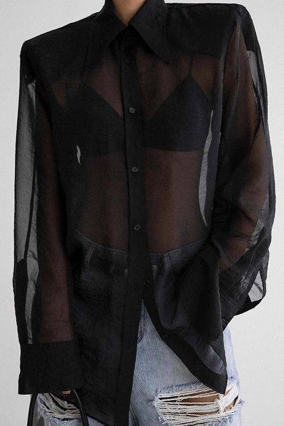 Sheer Long Sleeve Blouse