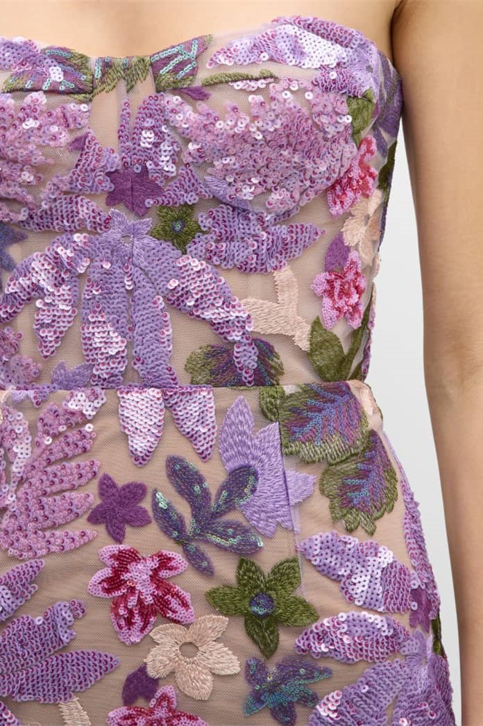 Aurora -embroidered Strapless Maxi Dress
