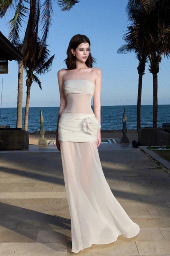Sheer Mesh Bandeau Maxi Dress