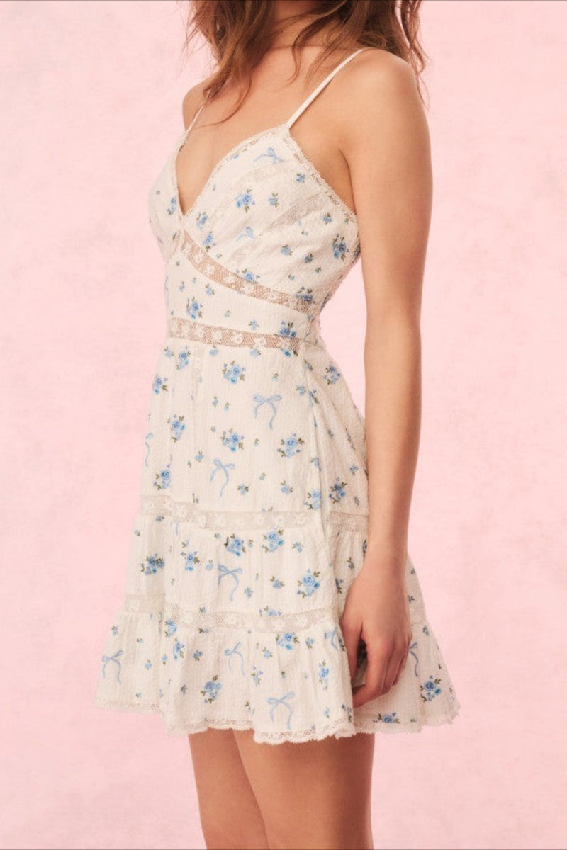 Lace Print Mini Dress