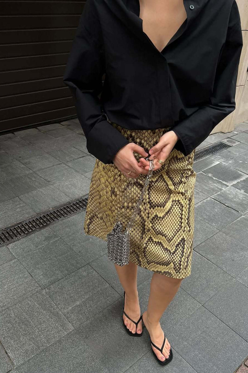 Snake Print High-waist A-line Skirt