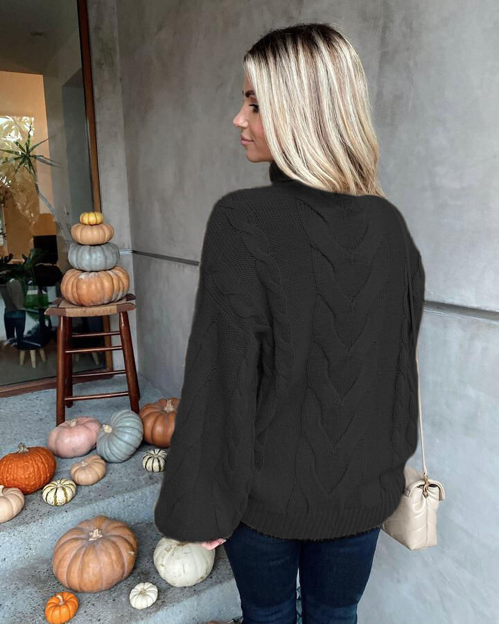 Alyson Turtleneck Cable Knit Sweater