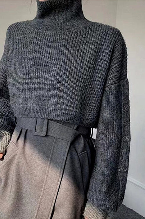 Turtleneck Crop Knit Sweater