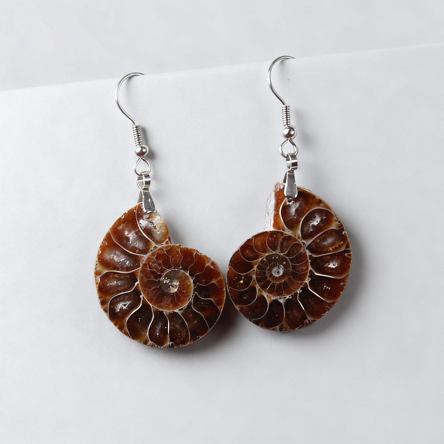 Fossil Ammonite Earrings