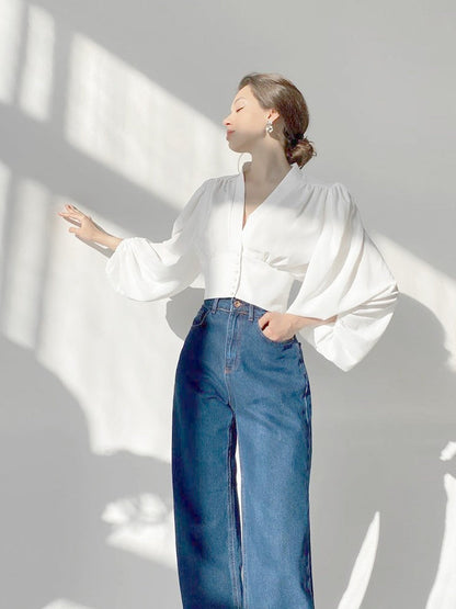 Lantern Sleeve V-neck Slim Fit Blouse
