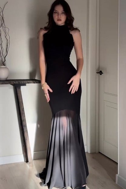 Color Mesh Fitted Bodycon Maxi Dress
