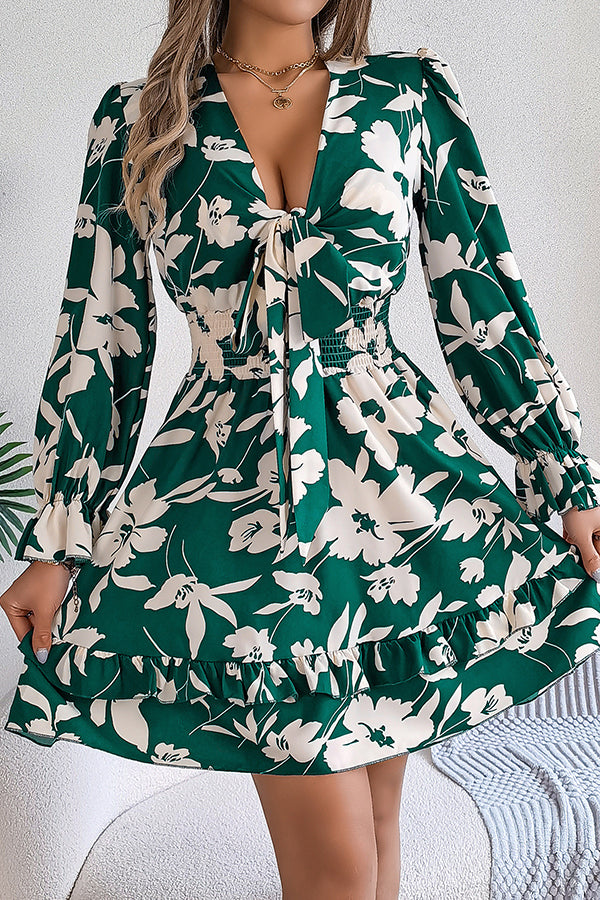 Print V-neck Lace-up Long-sleeve Elastic Waist Mini Dress