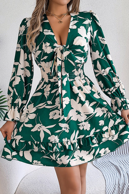 Print V-neck Lace-up Long-sleeve Elastic Waist Mini Dress