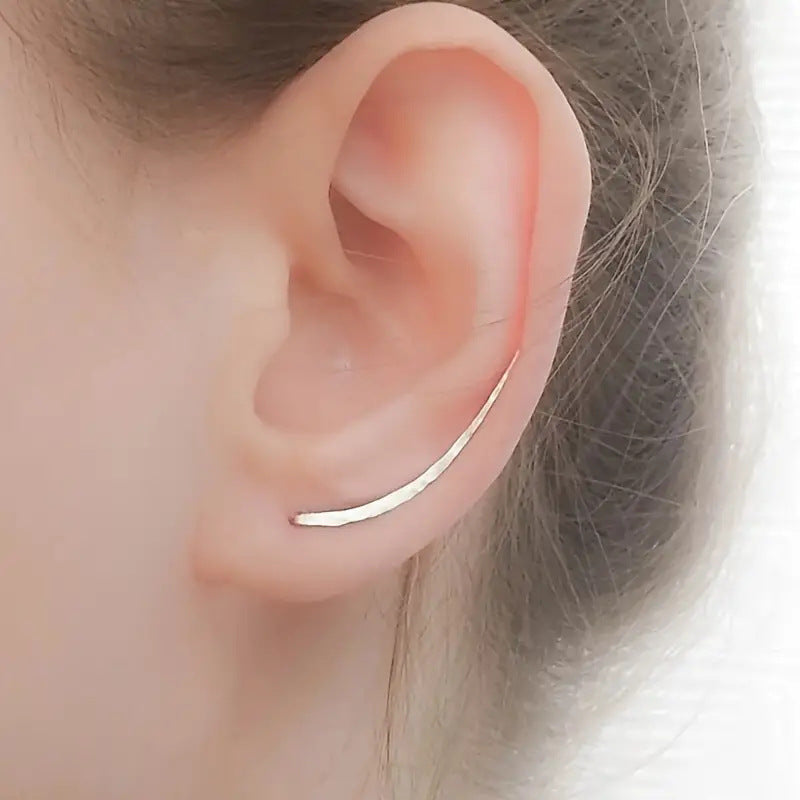 Beautiful Earrings with Unique Style