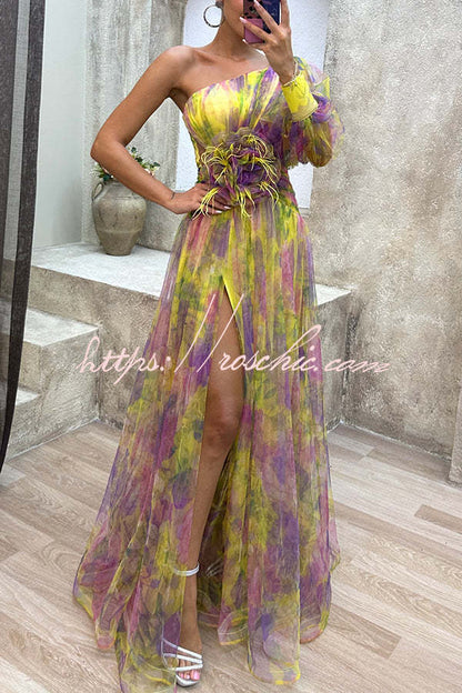 Picturesque Beauty Tulle Pleated One Shoulder Sleeve Slit Maxi Dress