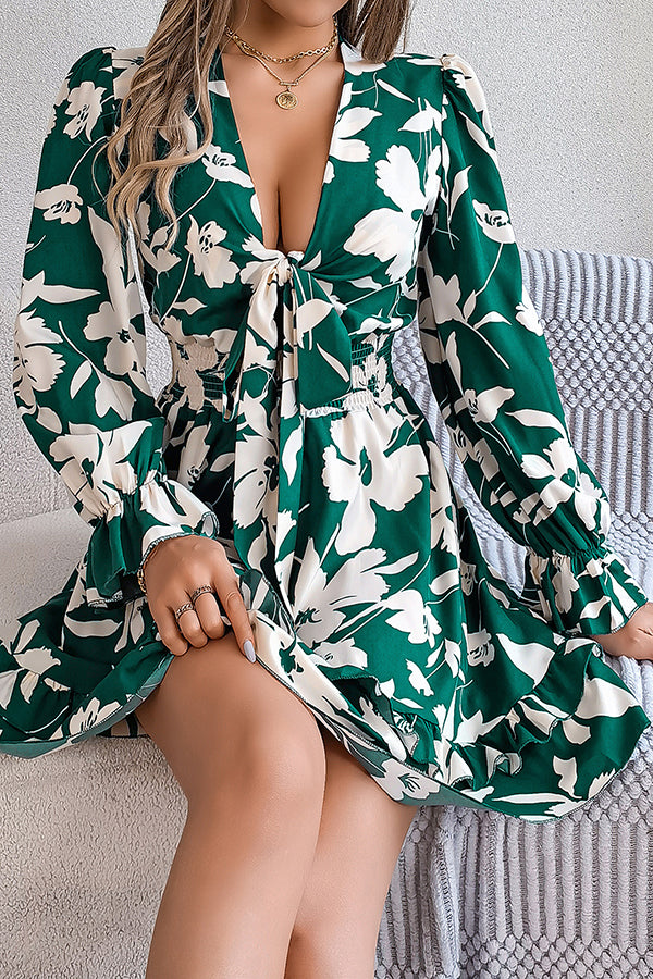 Print V-neck Lace-up Long-sleeve Elastic Waist Mini Dress