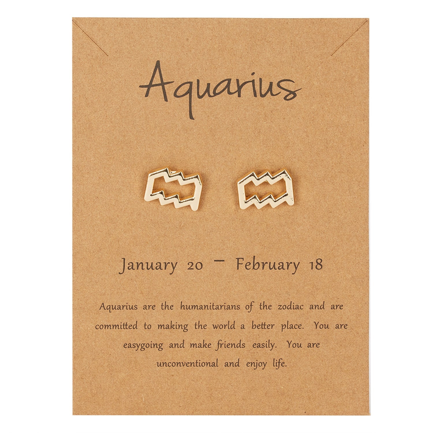 Aquarius Zodiac Earrings