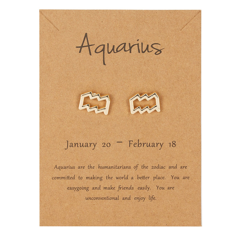 Aquarius Zodiac Earrings