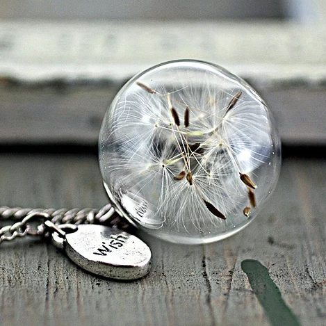 Dandelion Wish