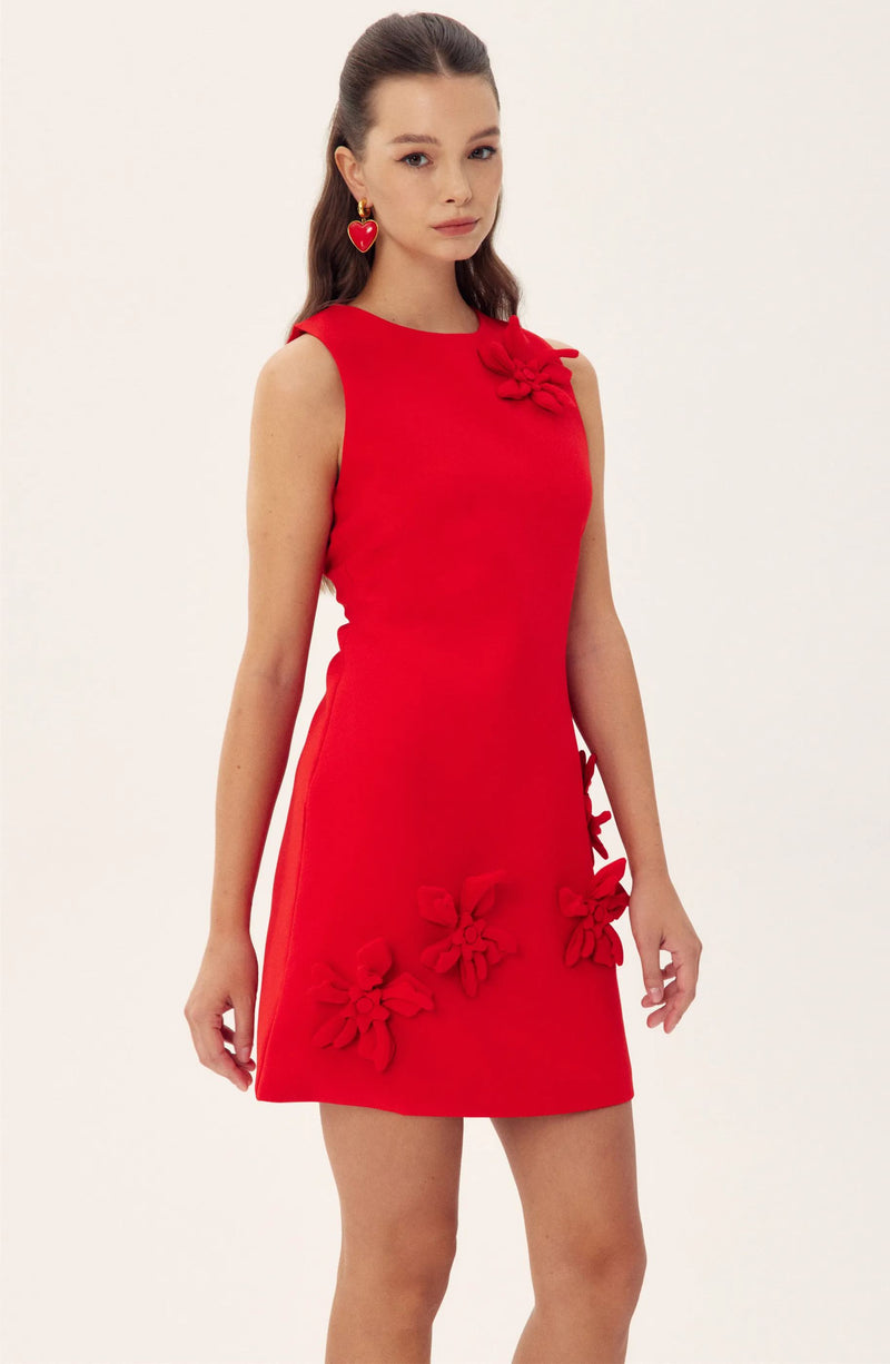 Madeline Sleeveless Applique Mini Dress