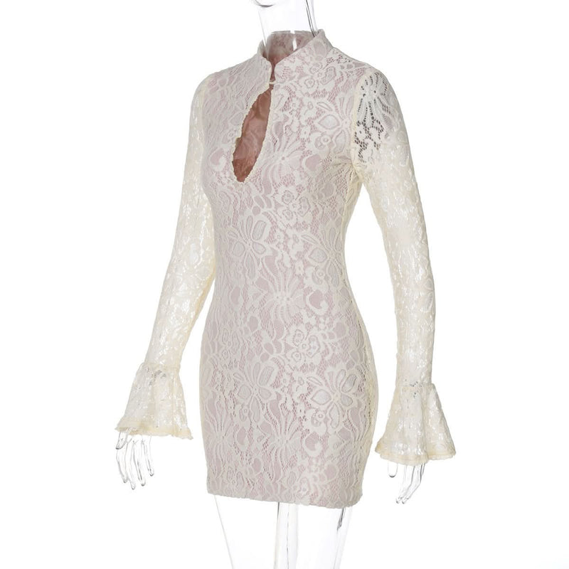 Brianna Lace Mini Dress