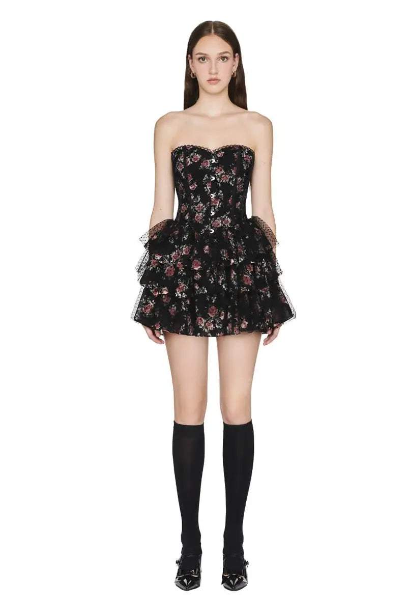 Lace Polka Dot Mesh Corset Mini Dress