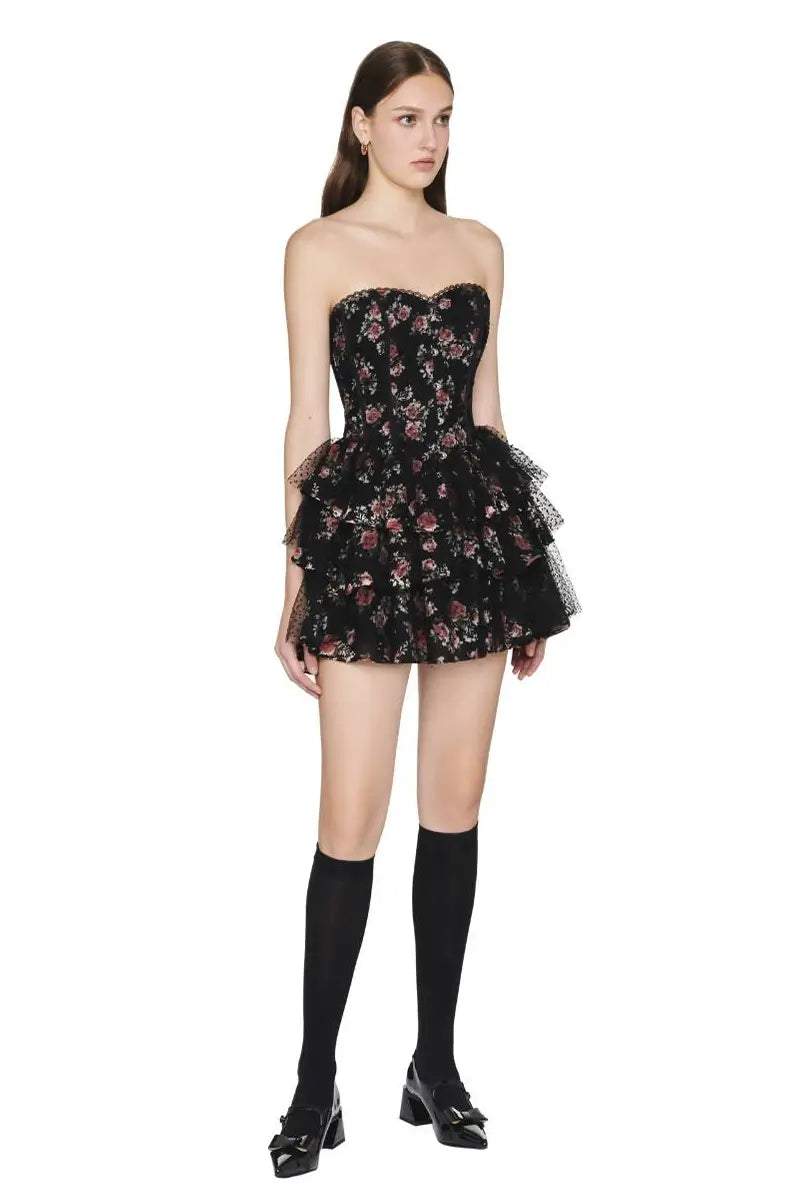 Lace Polka Dot Mesh Corset Mini Dress